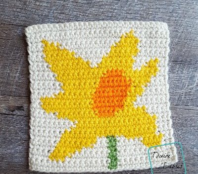 Tapestry Square Afghan Project – week 5 (May) Tapestry Square Afghan Project – week 5 (May)
