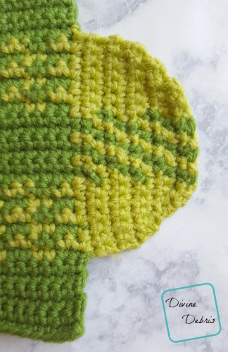 The Plaid Cactus free amigurumi crochet pattern by DivineDebris.com