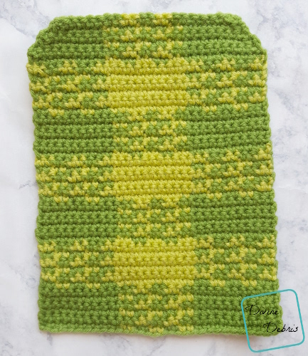 The Plaid Cactus free amigurumi crochet pattern by DivineDebris.com