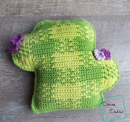 The Plaid Cactus free amigurumi crochet pattern by DivineDebris.com