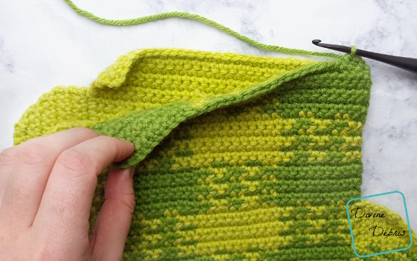 The Plaid Cactus free amigurumi crochet pattern by DivineDebris.com