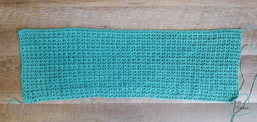 Mary Vest free vest with fringe crochet pattern by DivineDebris.com