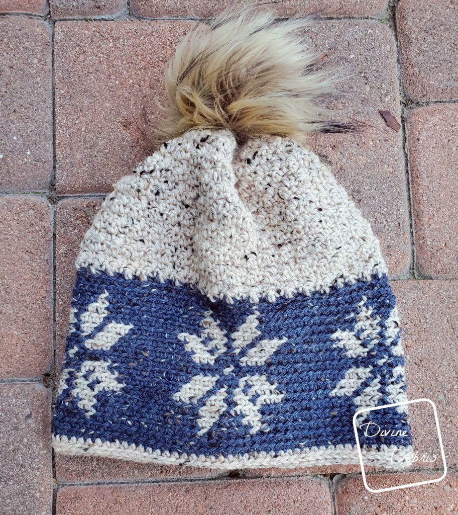Dancing Snowflakes Beanie, a free crochet pattern by DivineDebris.com