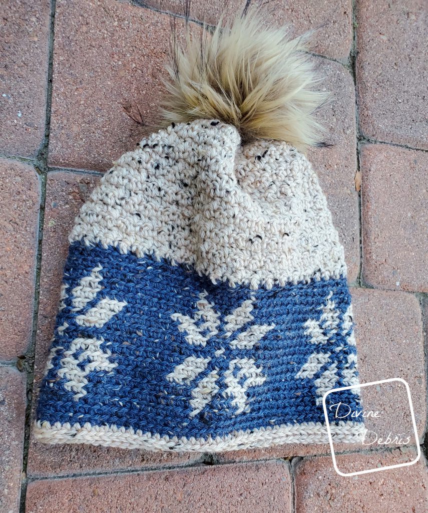 Dancing Snowflakes Beanie, a free crochet pattern by DivineDebris.com