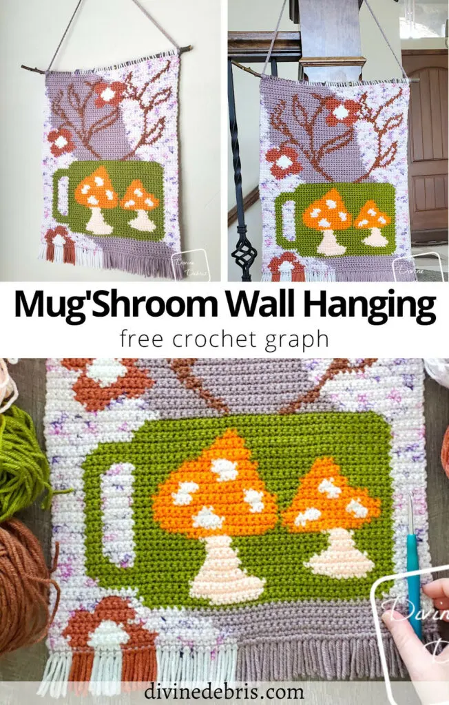 Learn to make this fun, colorful, and visually interesting home decor piece, the Mug'Shroom Wall Hanging from a free graph by Divine Debris